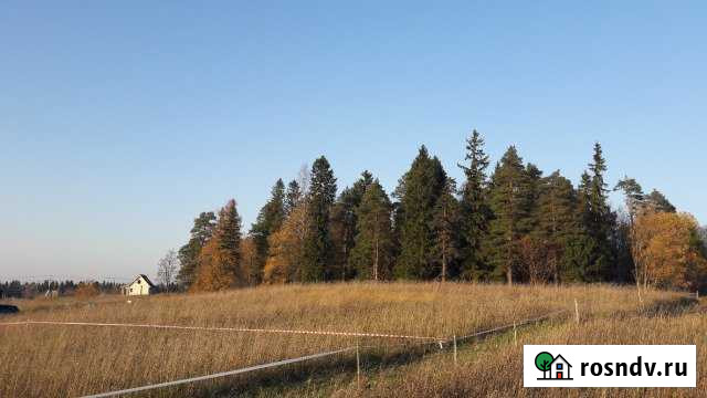 Участок СНТ, ДНП 22 сот. на продажу в Бегуницах Бегуницы - изображение 1