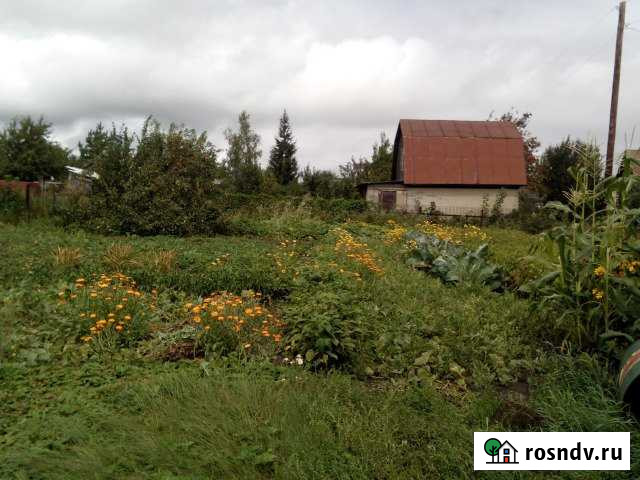 Дача 25 м² на участке 12 сот. на продажу в Лебяжьем Алтайского края Лебяжье - изображение 1