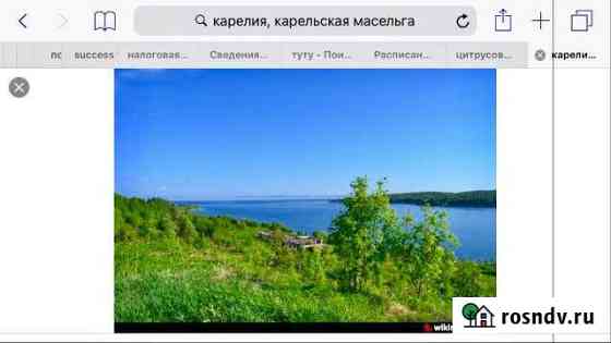 Участок СНТ, ДНП 1154 сот. на продажу в Медвежьегорске Медвежьегорск