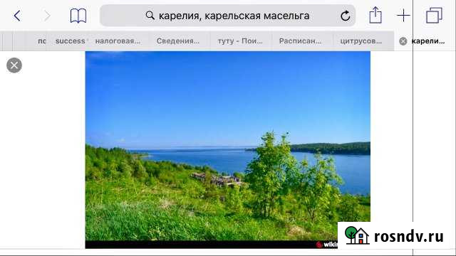 Участок СНТ, ДНП 1154 сот. на продажу в Медвежьегорске Медвежьегорск - изображение 1