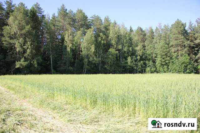 Участок СНТ, ДНП 38 сот. на продажу в Боровске Боровск - изображение 1