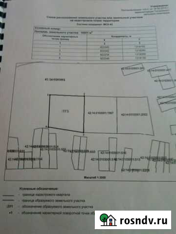 Участок ИЖС 100 сот. на продажу в Ясногорском Ясногорский - изображение 1