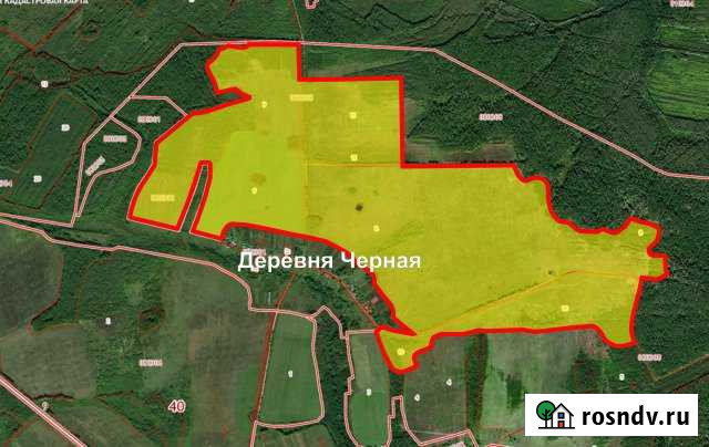 Участок СНТ, ДНП 24800 сот. на продажу в Кирове Калужской области Киров - изображение 1