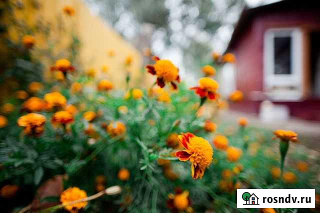 Дом 65 м² на участке 7 сот. на продажу в Рыбном Рыбное - изображение 1