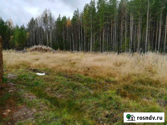 Участок ИЖС 12 сот. на продажу в Сосногорске Сосногорск - изображение 1