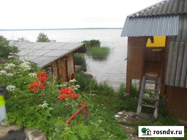 Дом 40 м² на участке 15 сот. в аренду посуточно в Осташкове Осташков - изображение 1