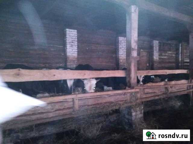 Участок СНТ, ДНП 5600 сот. на продажу в Пестяках Пестяки - изображение 1