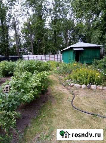 Участок СНТ, ДНП 8 сот. на продажу в Балашихе Балашиха - изображение 1