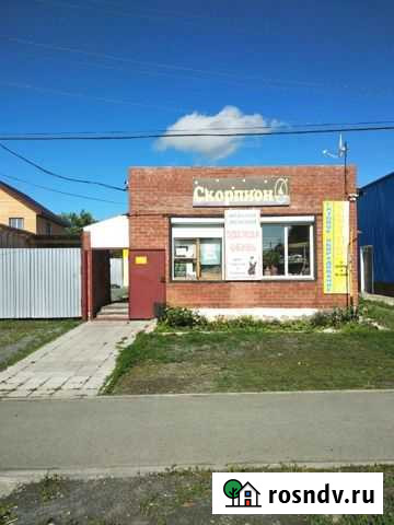 Дом 100 м² на участке 7 сот. на продажу в Октябрьском Челябинской области Октябрьское - изображение 1