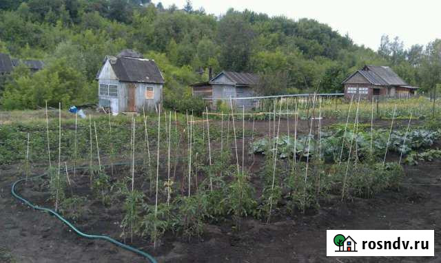 Участок СНТ, ДНП 10 сот. на продажу в Бийске Бийск - изображение 1