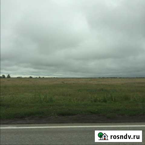 Участок СНТ, ДНП 1057 сот. на продажу в Любинском Любинский - изображение 1