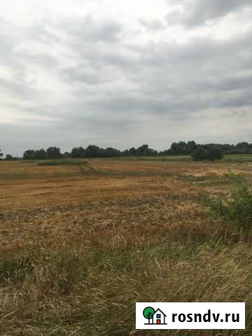 Участок СНТ, ДНП 100 сот. на продажу в Новодмитриевской Новодмитриевская - изображение 1