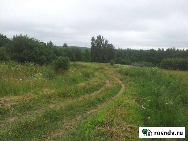 Участок ИЖС 30 сот. на продажу в Думиничах Думиничи - изображение 1