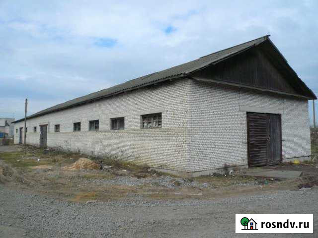 Сдаётся склад 566м.кв Рябово - изображение 1