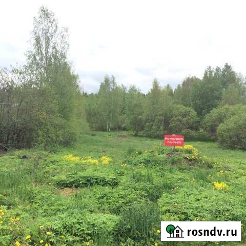 Участок СНТ, ДНП 31 сот. на продажу в Высоцке Высоцк - изображение 1