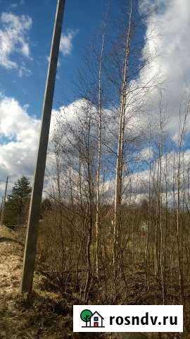 Участок СНТ, ДНП 12 сот. на продажу в Любане Любань - изображение 1