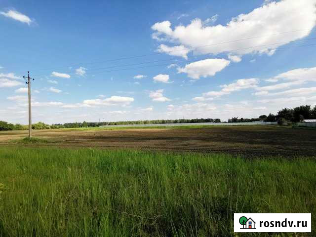 Участок ИЖС 280 сот. на продажу в Кокино Кокино - изображение 1