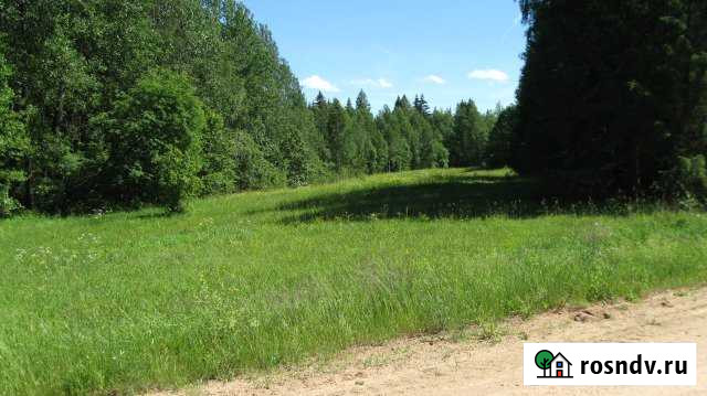 Участок СНТ, ДНП 2 сот. на продажу в Торопце Торопец - изображение 1