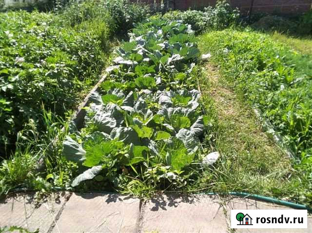 Дача 32 м² на участке 6 сот. на продажу в Плотниково Плотниково - изображение 1