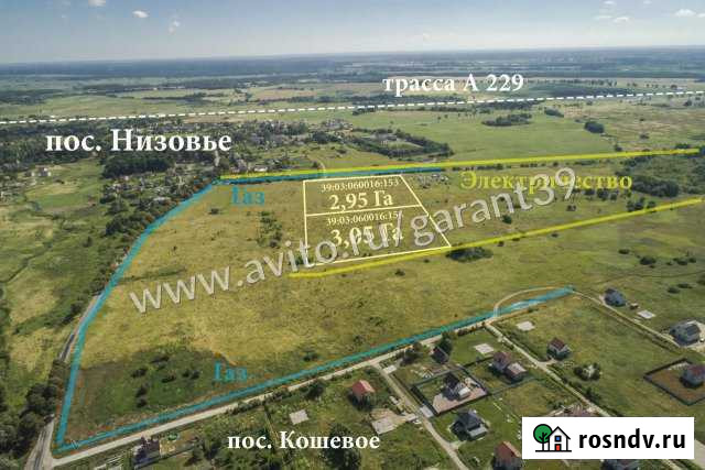 Участок промназначения 600 сот. на продажу в Калининграде Калининград - изображение 1