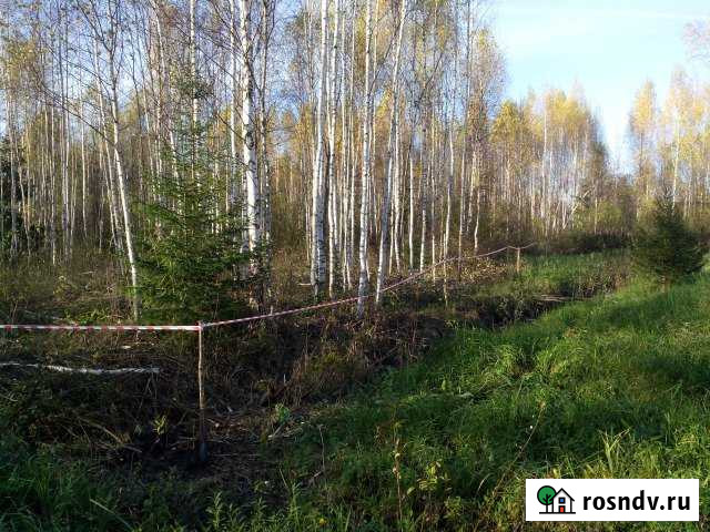 Участок СНТ, ДНП 15 сот. на продажу в Талдоме Талдом - изображение 1