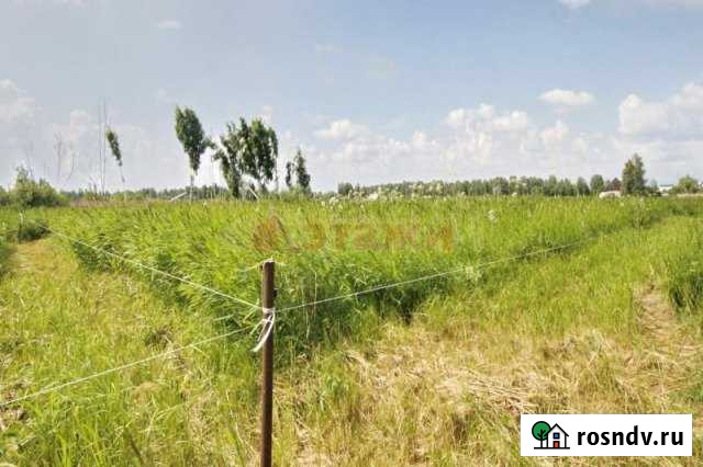 Участок СНТ, ДНП 10 сот. на продажу в Белоярском Свердловской области Белоярский - изображение 1