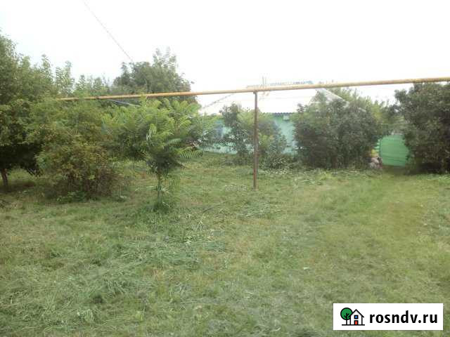 Дом 45 м² на участке 32 сот. в аренду на длительный срок в Губкине Губкин - изображение 1