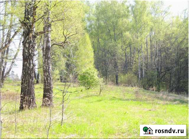 Участок ИЖС 12 сот. на продажу в Пролетарском Московской области Пролетарский - изображение 1