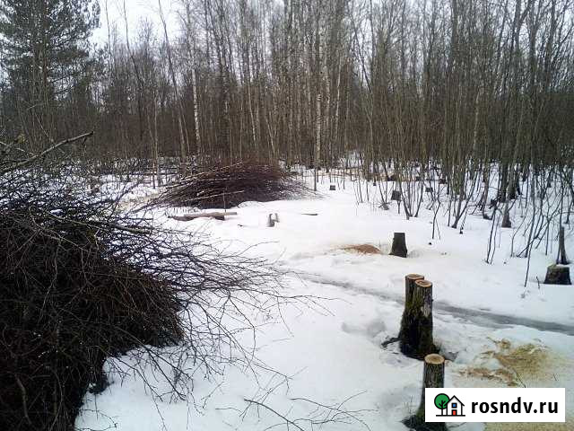 Участок ИЖС 15 сот. на продажу в Чудово Чудово - изображение 1