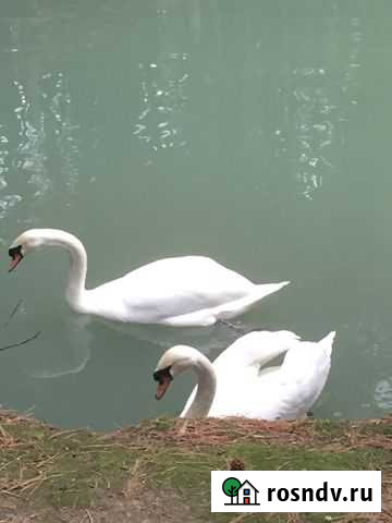 1-комнатная квартира, 34 м², 4/6 эт. в аренду посуточно в Салехарде Салехард - изображение 1