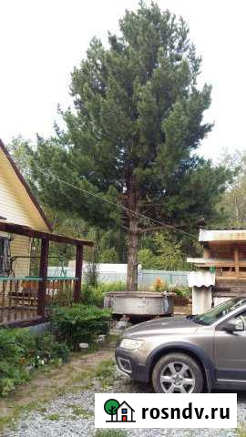 Дача 95 м² на участке 8 сот. на продажу в Заречном Свердловской области Заречный - изображение 1