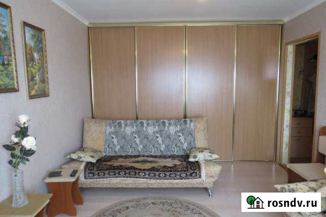 1-комнатная квартира, 32 м², 2/2 эт. на продажу в Песках Московской области Пески - изображение 1