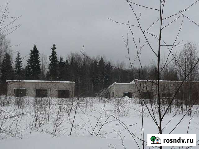 Дача 1450 м² на участке 300 сот. на продажу в Большом Селе Большое Село - изображение 1