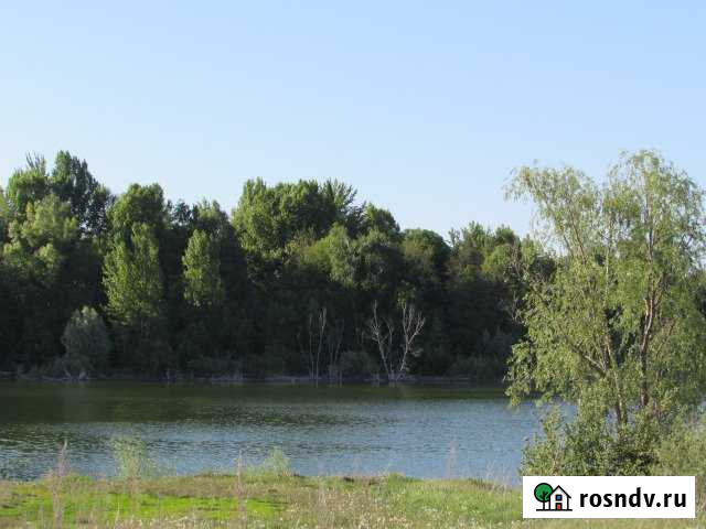 Участок ИЖС 36 сот. на продажу в Короче Короча - изображение 1