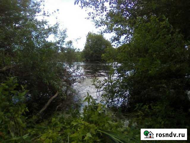 Участок СНТ, ДНП 2200 сот. на продажу в Усолье Самарской области Усолье - изображение 1