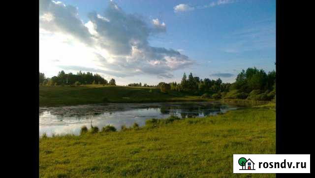 Участок СНТ, ДНП 8000 сот. на продажу в Пушкинских Горах Пушкинские Горы - изображение 1