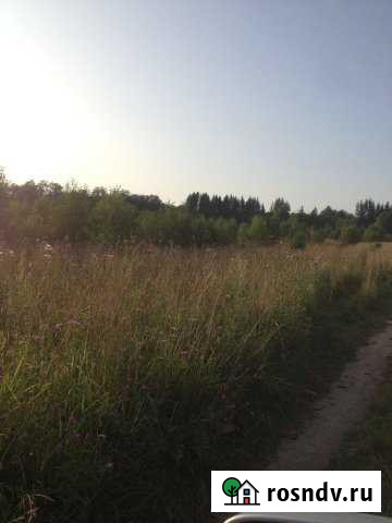 Участок ИЖС 300 сот. на продажу в Пречистом Пречистое - изображение 1