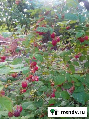 Дача 20 м² на участке 4 сот. на продажу в Сызрани Сызрань - изображение 1