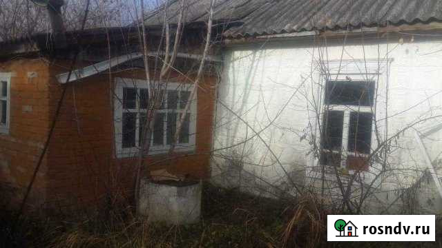 Дом 42 м² на участке 49 сот. на продажу в Бесскорбной Бесскорбная - изображение 1