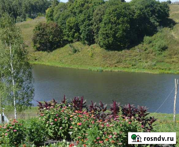 Участок ИЖС 35 сот. на продажу в Жуковке Жуковка - изображение 1