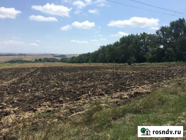 Участок СНТ, ДНП 600 сот. на продажу в Гостагаевской Гостагаевская - изображение 1