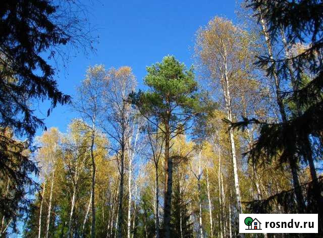 Участок СНТ, ДНП 9 сот. на продажу в Троицком Московской области Троицкое - изображение 1