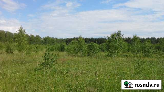 Участок СНТ, ДНП 585 сот. на продажу в Вербилках Вербилки - изображение 1