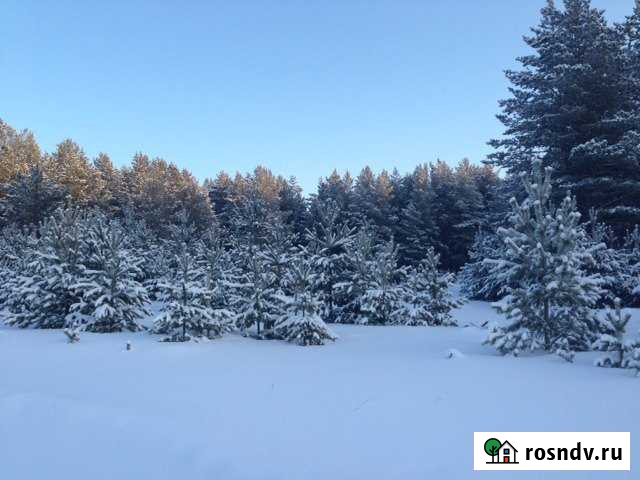 Участок ИЖС 15 сот. на продажу в Двуреченске Двуреченск - изображение 1