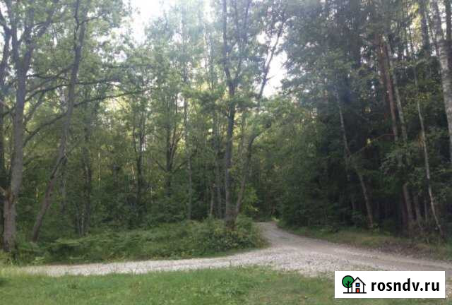 Участок ИЖС 39 сот. на продажу в Сосенском Сосенский - изображение 1