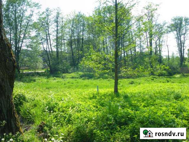 Участок СНТ, ДНП 10 сот. на продажу в Гурьевске Калининградской области Гурьевск - изображение 1