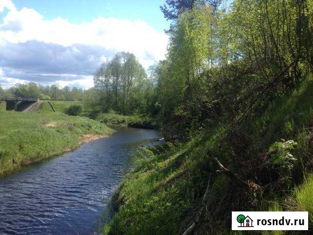 Участок ИЖС 22 сот. на продажу в Гдове Гдов - изображение 1