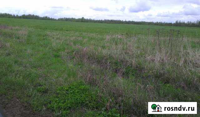 Участок СНТ, ДНП 1200 сот. на продажу в Гдове Гдов - изображение 1