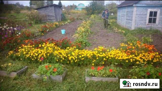 Дача 20 м² на участке 6 сот. на продажу в Старой Руссе Старая Русса - изображение 1