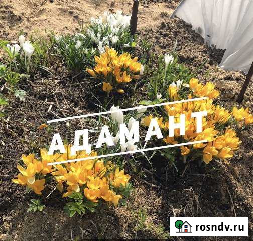 Дача 30 м² на участке 8 сот. на продажу в Березниках Березники - изображение 1